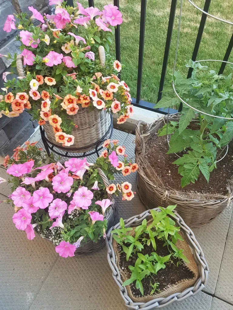 DIY Wicker Planters