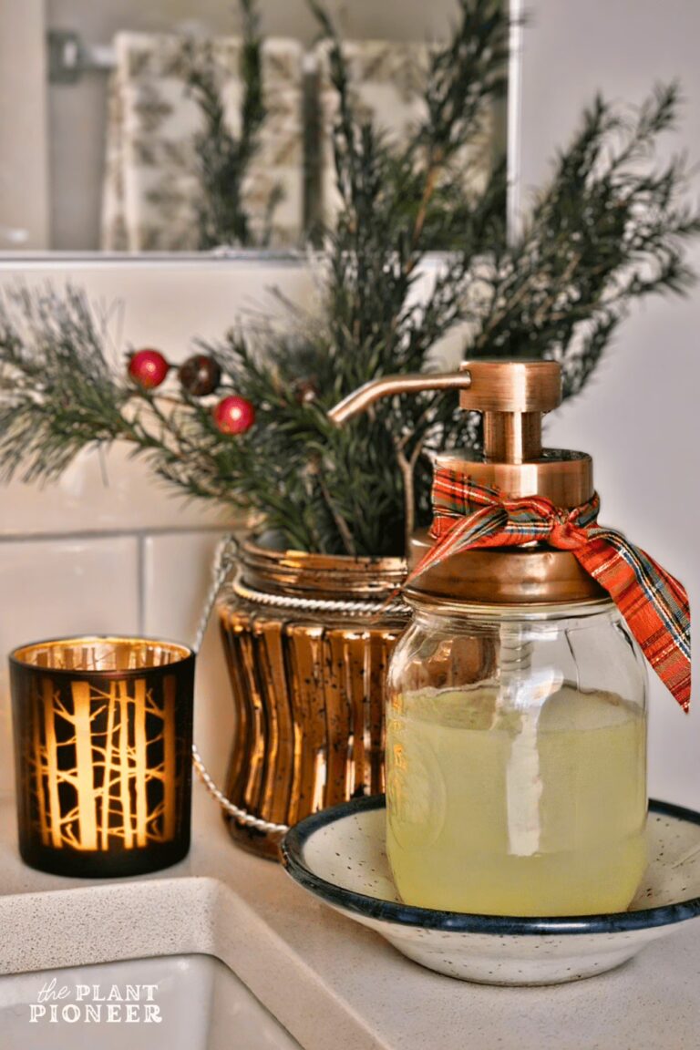 5 Foaming Hand Soap Recipes for Winter & Christmas