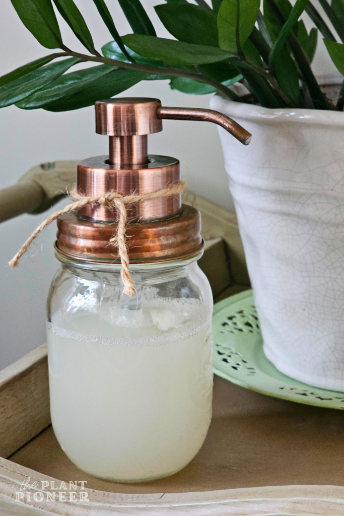DIY Foaming Hand Soap for Spring