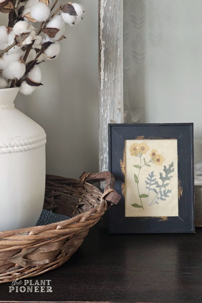 DIY Pressed Flower Art (for free!)