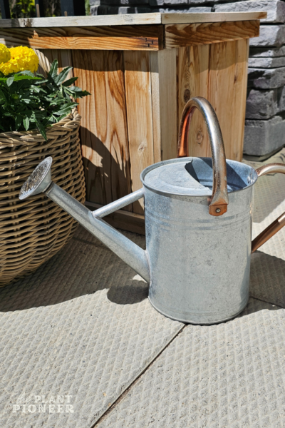 Picture of How to Choose Non-Toxic Garden Planters for an Organic Container Garden ...
