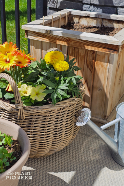 How to Choose Non-Toxic Garden Planters for an Organic Container Garden