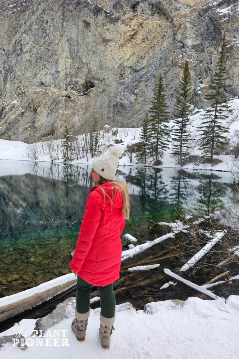 Beautiful Winter Hiking at Grassi Lakes, Canmore, Alberta (without the crowds!)