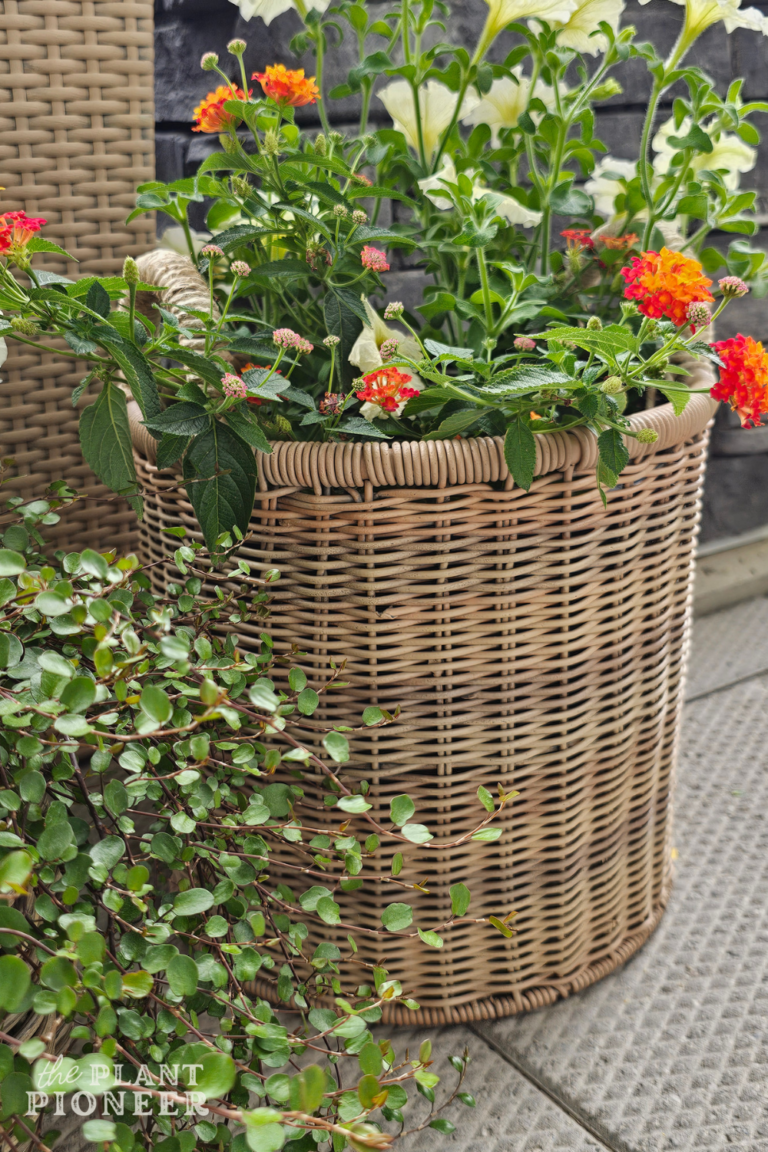 Easy Outdoor Resin Wicker Basket Makeover