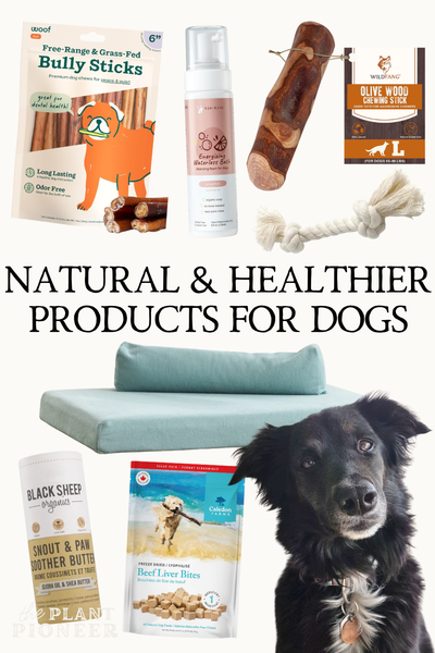 The Best Non-Toxic & Healthier Products for Dogs
